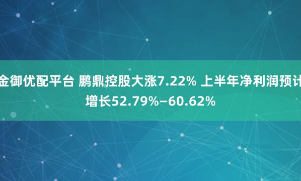 金御优配平台 鹏鼎控股大涨7.22% 上半年净利润预计增长52.79%—60.62%