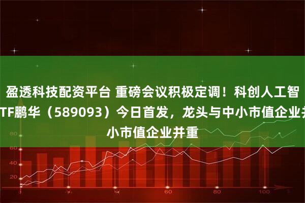 盈透科技配资平台 重磅会议积极定调！科创人工智能ETF鹏华（589093）今日首发，龙头与中小市值企业并重
