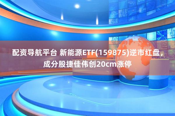 配资导航平台 新能源ETF(159875)逆市红盘，成分股捷佳伟创20cm涨停